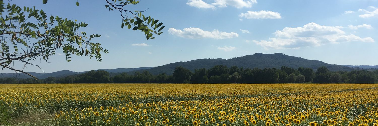 cladillina's profile banner image