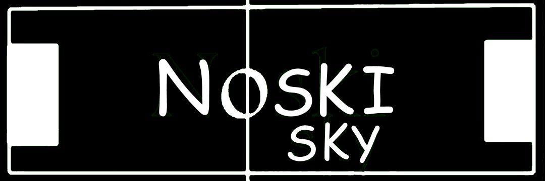 noskisky's profile banner image