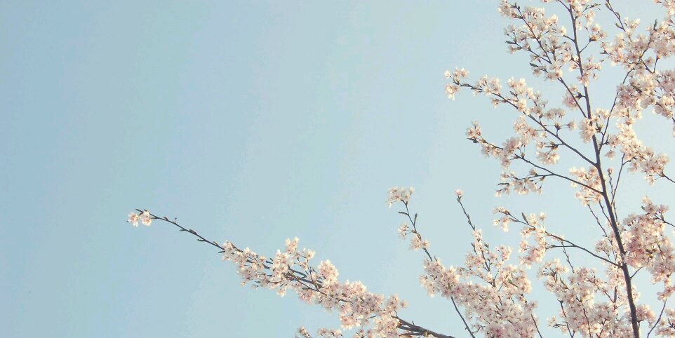 dalilarima's profile banner image
