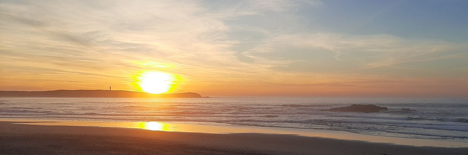 Verónica L. Ferreira banner