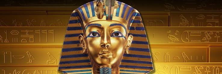 محمد قنديل banner