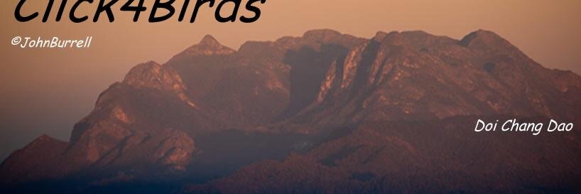 click4biology's profile banner image