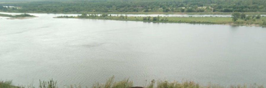 dmitry_silin's profile banner image
