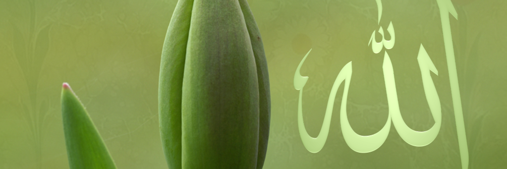 cumhh's profile banner image