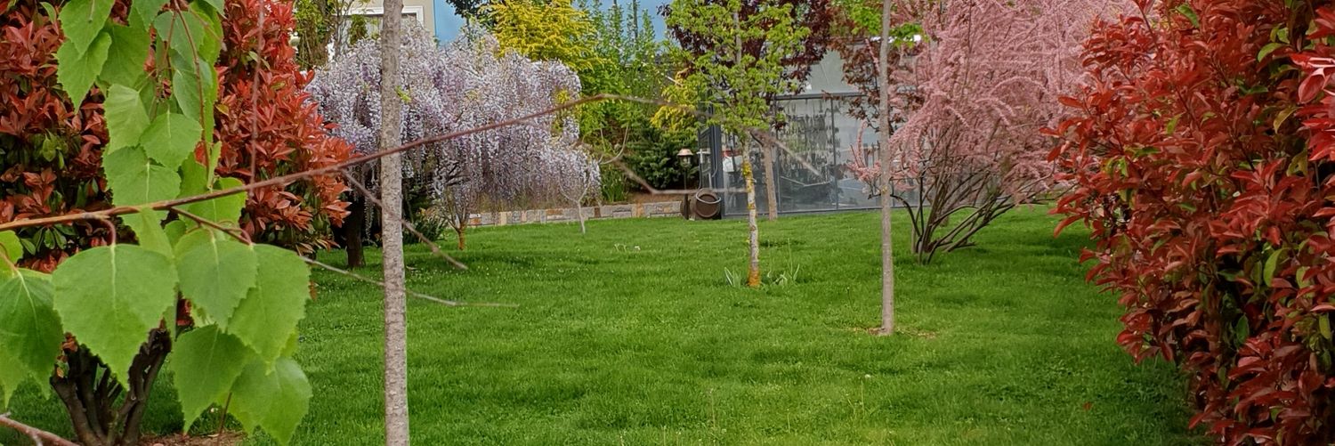 Florina Skeja banner