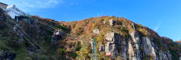 YP20511770 Profile Banner