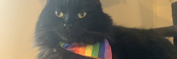 keelyylangler Profile Banner