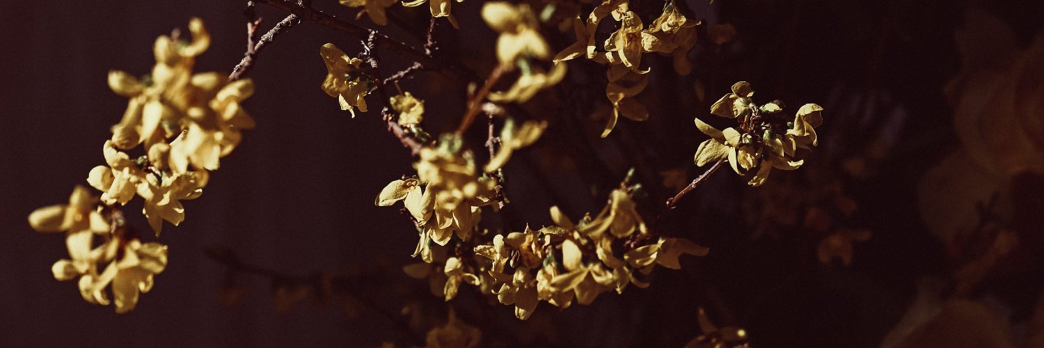 Tara Florence banner