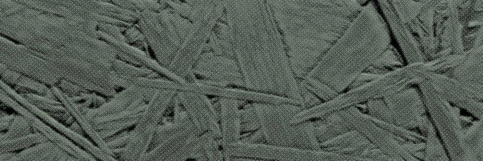 Finks Salt & Sweet banner