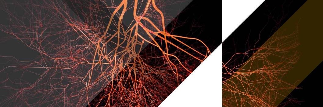 MBRSS_Group's profile banner image