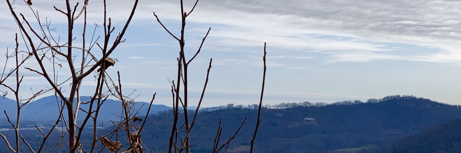 apsinghAJ's profile banner image