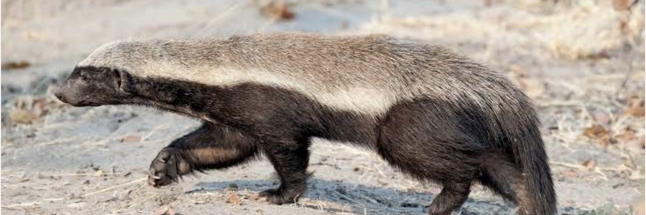 Kituuma Rusoke banner