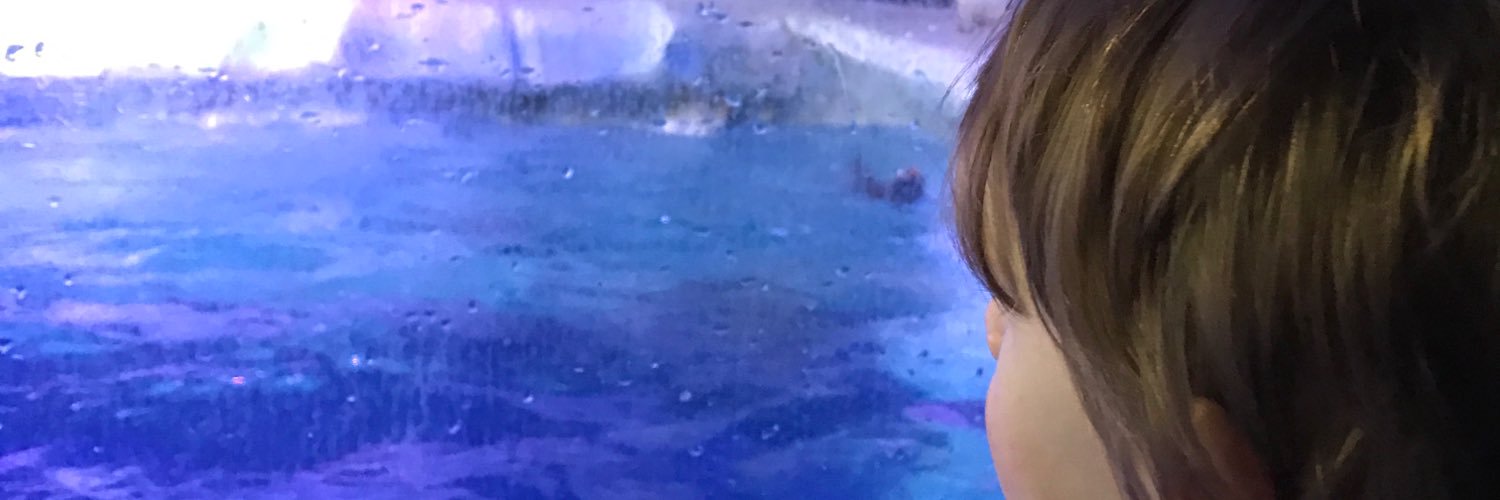 neutroboy1's profile banner image