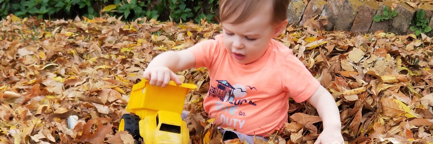 Danielle Smith banner