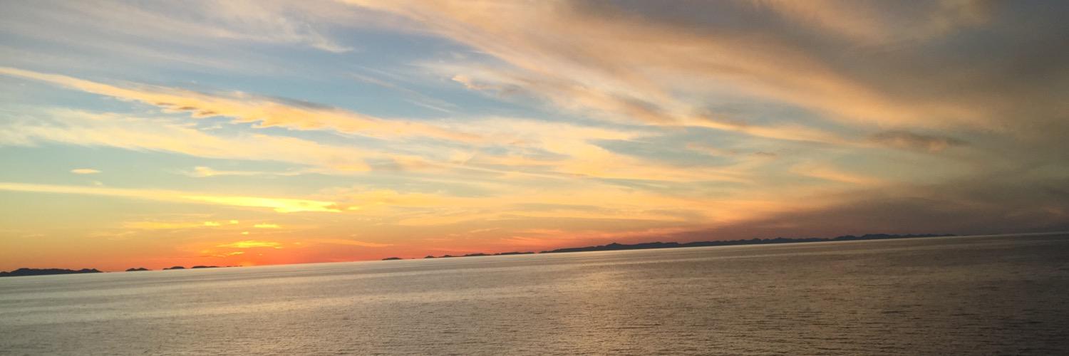 tutubeltran's profile banner image