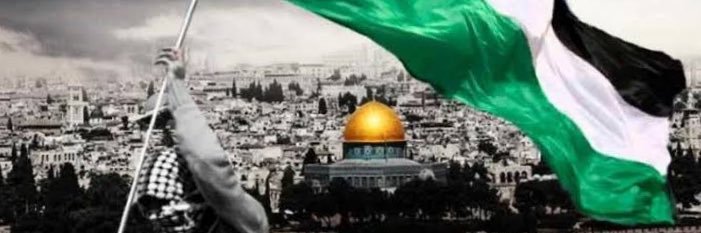 monaelnemr's profile banner image