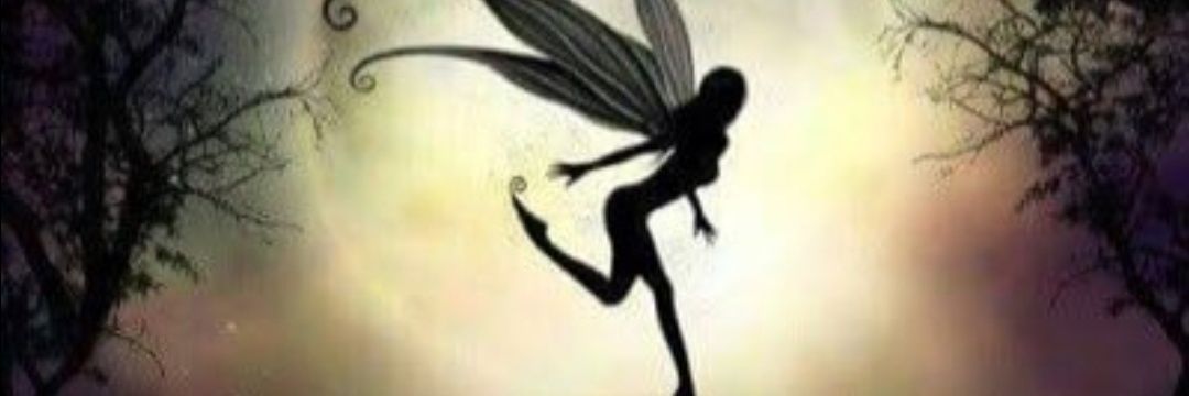 tightrope40's profile banner image
