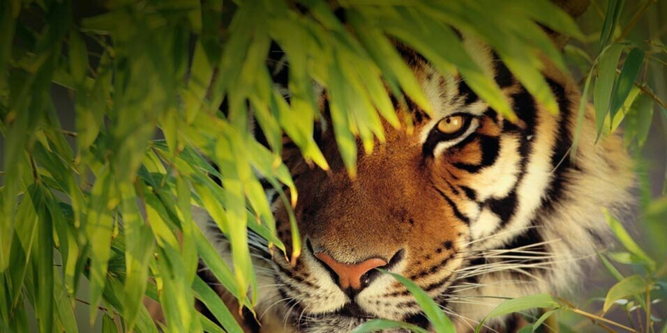 JM_Riviere's profile banner image