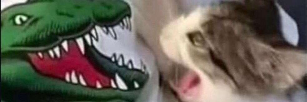 w4ckduck's profile banner image