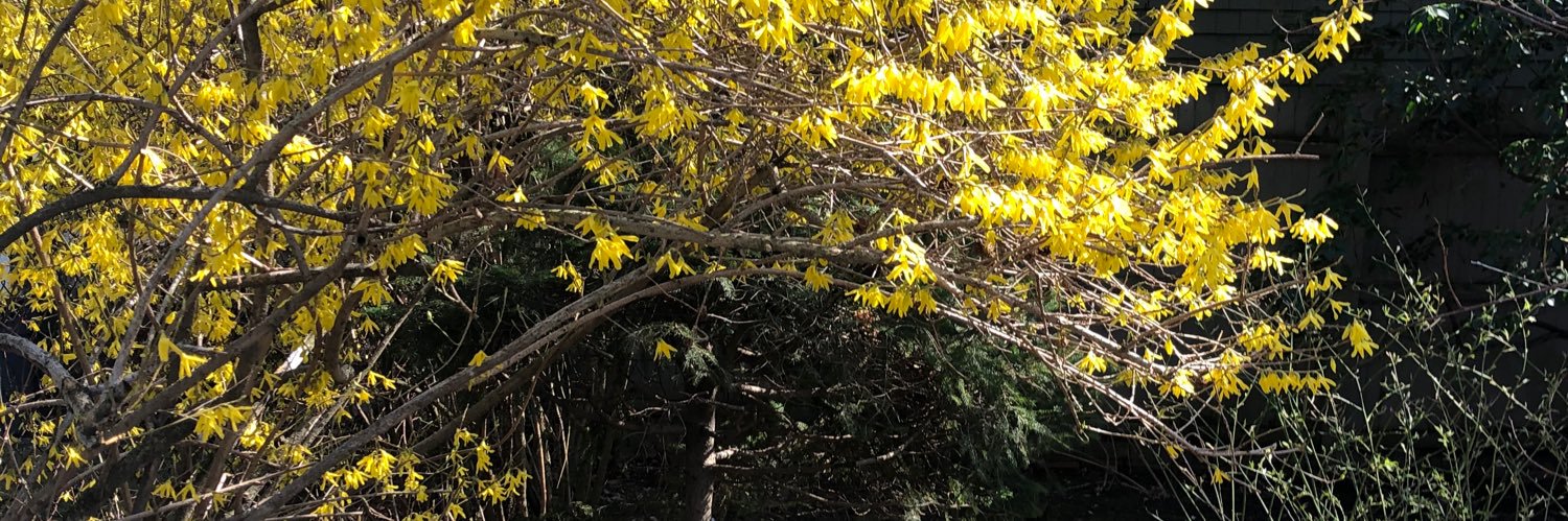 heliumcell's profile banner image