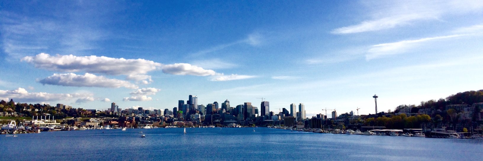 Marina Plesons banner