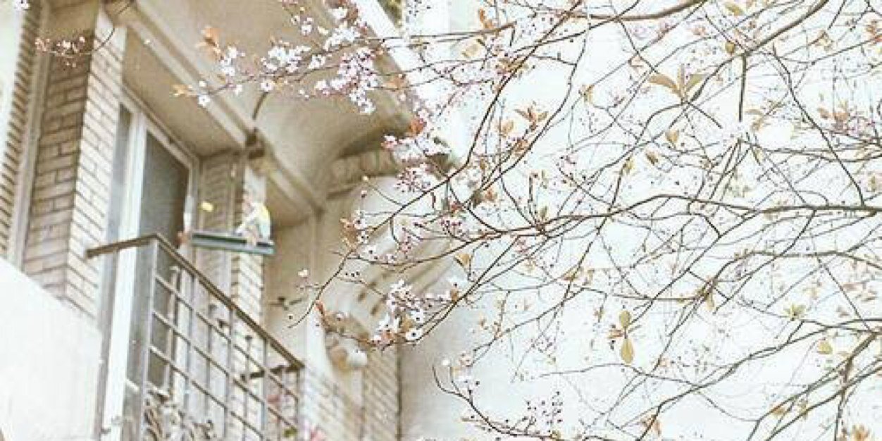 somewhereibell's profile banner image