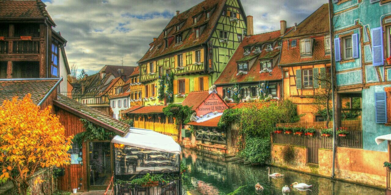 Luca Carnesciali banner