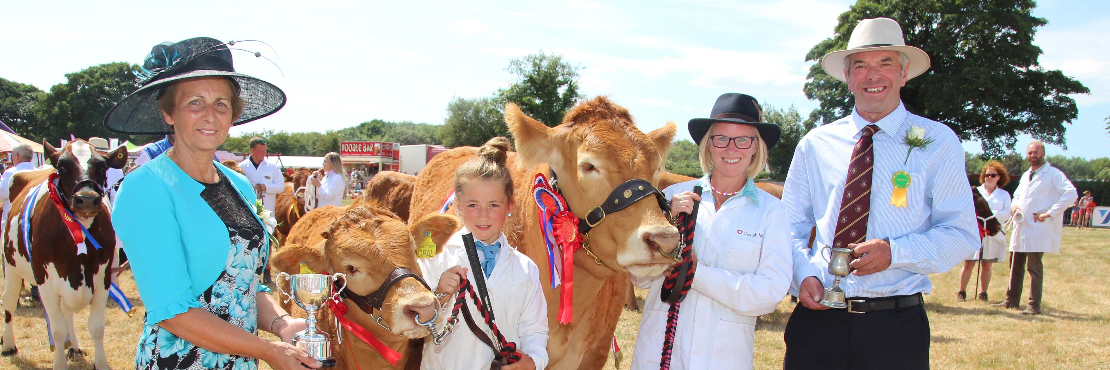 Launceston Show banner