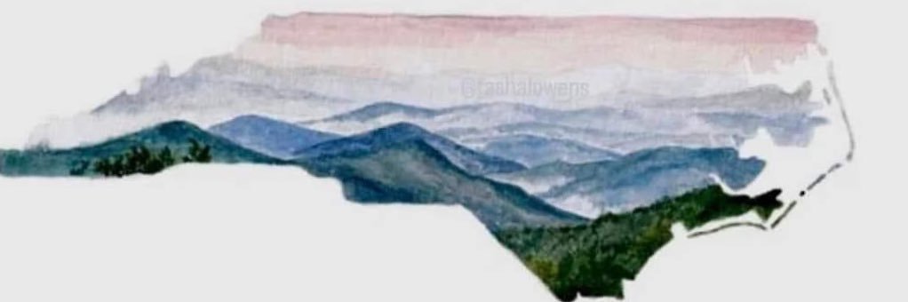 Josh Snyder banner
