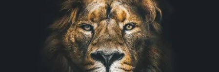 BIG SOSA 🥶 banner