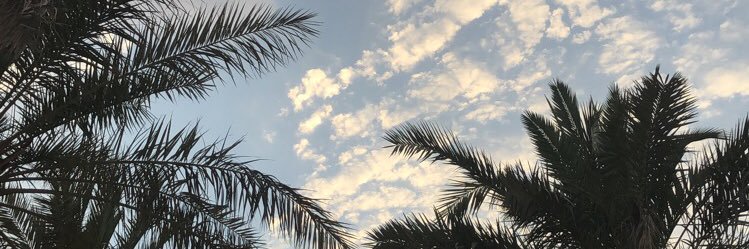alanud_1's profile banner image