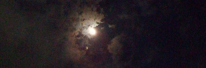 MerindingDisco1's profile banner image