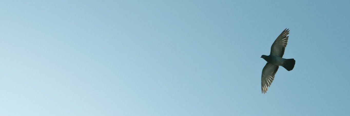 مدى banner