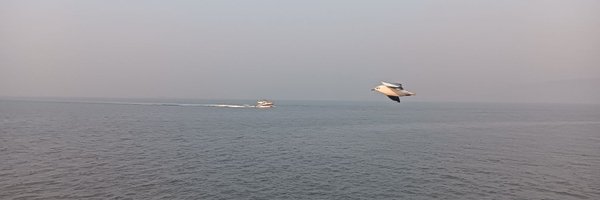 ameytirodkar Profile Banner