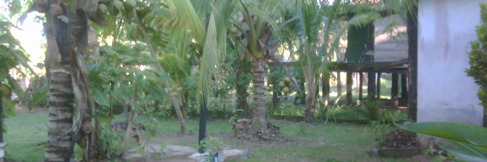 David Kaimowitz banner