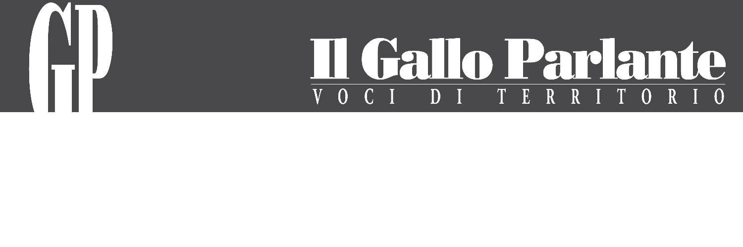 IlGalloMagazine's profile banner image