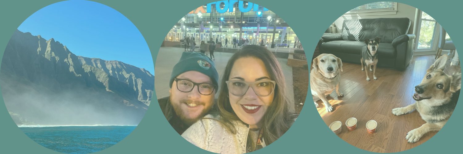 jellerbee's profile banner image