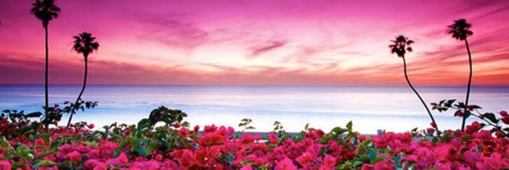 TakeNoteOK's profile banner image