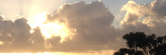 carloscouti's profile banner image
