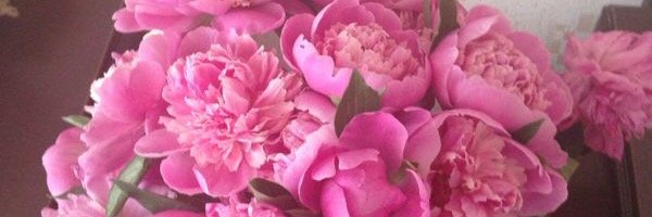 Zinaraaa's profile banner image