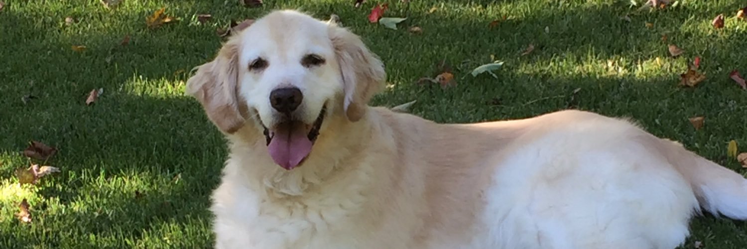 bailey_mino's profile banner image