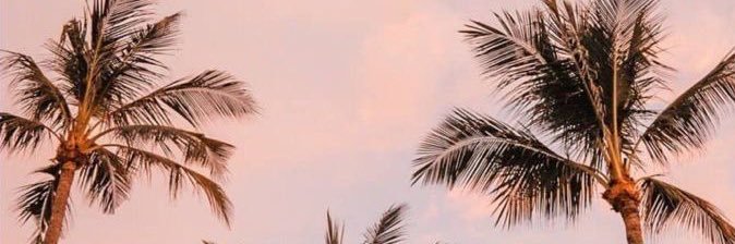 cstLais's profile banner image