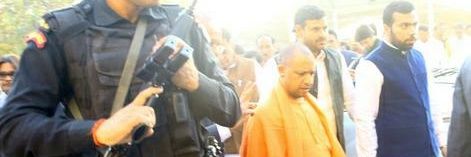 Pankaj Jha banner