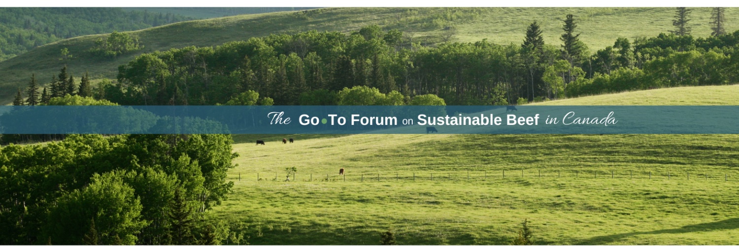 Canadian Roundtable for Sustainable Beef (CRSB)'s banner