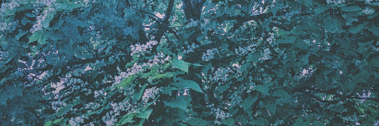 L0lf2p's profile banner image