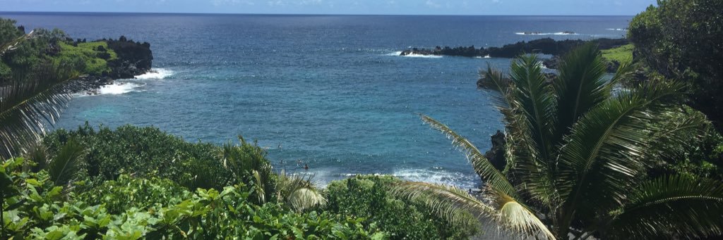 Gary Perkinson banner