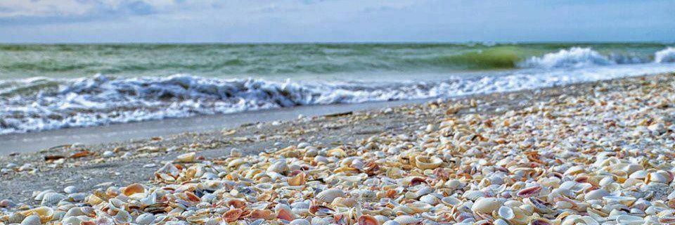 Isa_bell77's profile banner image