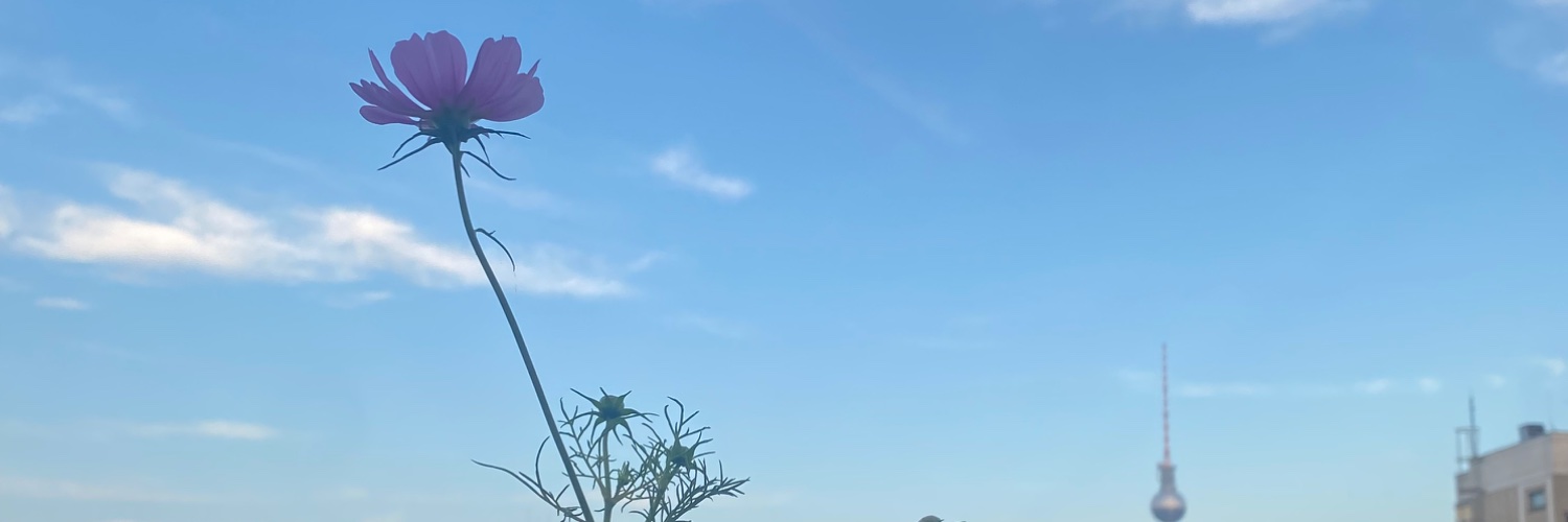 LoupMad's profile banner image