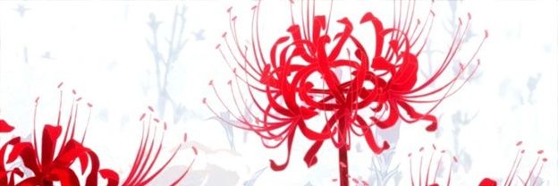 Redihility's profile banner image