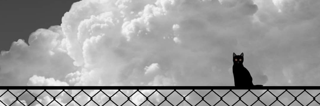 AngelVSZ1's profile banner image